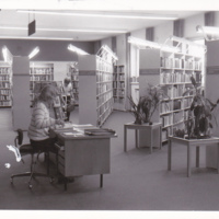 IR50a.jpg