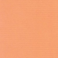 https://kirjastomuseo.fi/fi/files/original/9d2d0f86a7970e9cc212d531c77e60bb.jpg
