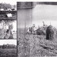 https://kirjastomuseo.fi/fi/files/original/1b3ca602ee56afdcb2a69e3b5f5d5718.jpg