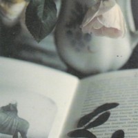 https://kirjastomuseo.fi/fi/files/original/e8fe36eea52ff9cdb126b1a8d7b8b38c.jpg