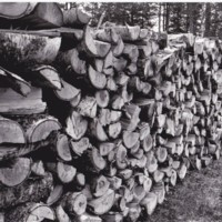 https://kirjastomuseo.fi/fi/files/original/824aeb2535070111d0134e8d228fc746.jpg