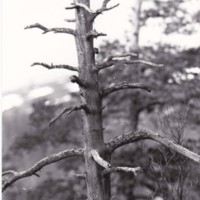 https://kirjastomuseo.fi/fi/files/original/4d87da674b8338d23e318594a5c4b9de.jpg