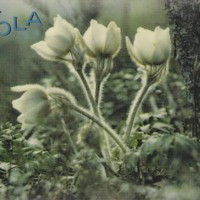 https://kirjastomuseo.fi/fi/files/original/ae16c2186e80db6fc5ab59dcddca8d69.jpg
