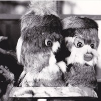 https://kirjastomuseo.fi/fi/files/original/1feecbb90d8cbe4b78ff2fde15062c1f.jpg
