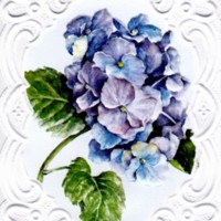 https://kirjastomuseo.fi/fi/files/original/97da69eb67636bee4ecbdca0bffdcc79.jpg