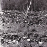 https://kirjastomuseo.fi/fi/files/original/6a3e7bf23ff13a3c8e25e99c54ac713c.jpg