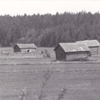 https://kirjastomuseo.fi/fi/files/original/e844893b39df692c5b52a99857c43905.jpg