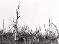 https://kirjastomuseo.fi/fi/files/original/116230029d908d7cad815bcdaa135e2a.jpg