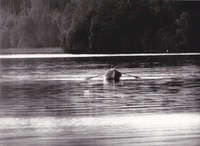 https://kirjastomuseo.fi/fi/files/original/c508c96f17d69b2ce3e1eb54ef25239b.jpg