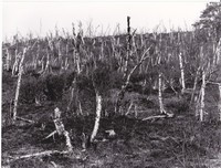 https://kirjastomuseo.fi/fi/files/original/7bd8f69be4837371aeb74cd1bf22cc6a.jpg