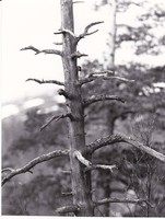 https://kirjastomuseo.fi/fi/files/original/4d87da674b8338d23e318594a5c4b9de.jpg