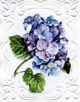 https://kirjastomuseo.fi/fi/files/original/97da69eb67636bee4ecbdca0bffdcc79.jpg