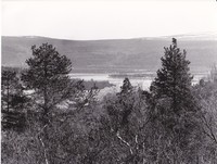 https://kirjastomuseo.fi/fi/files/original/7e4378c0b586407bb69a1b407a3adc76.jpg