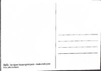 https://kirjastomuseo.fi/fi/files/original/555f132db5d53b68bd6d305524bd0084.jpg