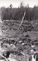 https://kirjastomuseo.fi/fi/files/original/6a3e7bf23ff13a3c8e25e99c54ac713c.jpg
