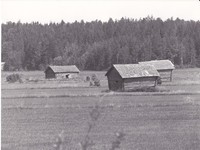 https://kirjastomuseo.fi/fi/files/original/e844893b39df692c5b52a99857c43905.jpg